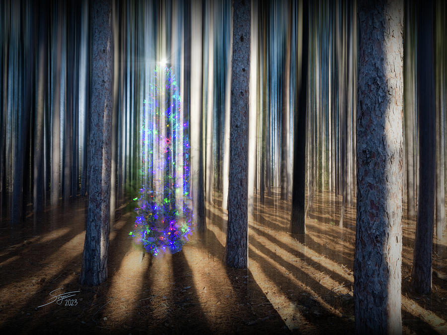 Ethereal Forest Christmas Photograph by Rick Stringer