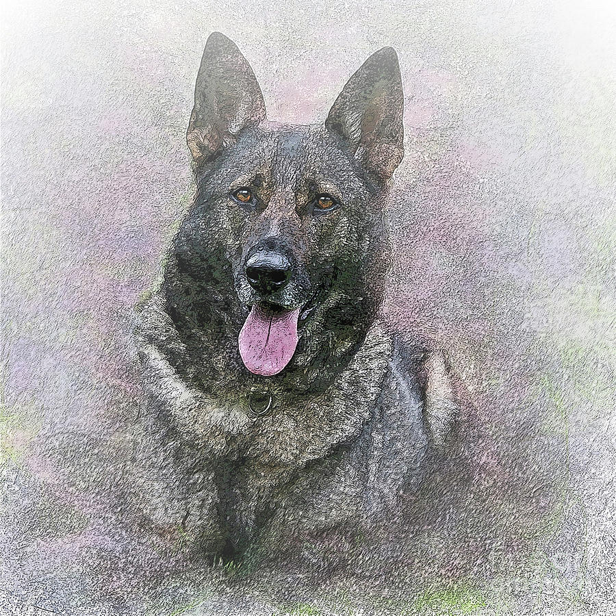 Ethereal German Shepherd Dog Digital Art by P Russell