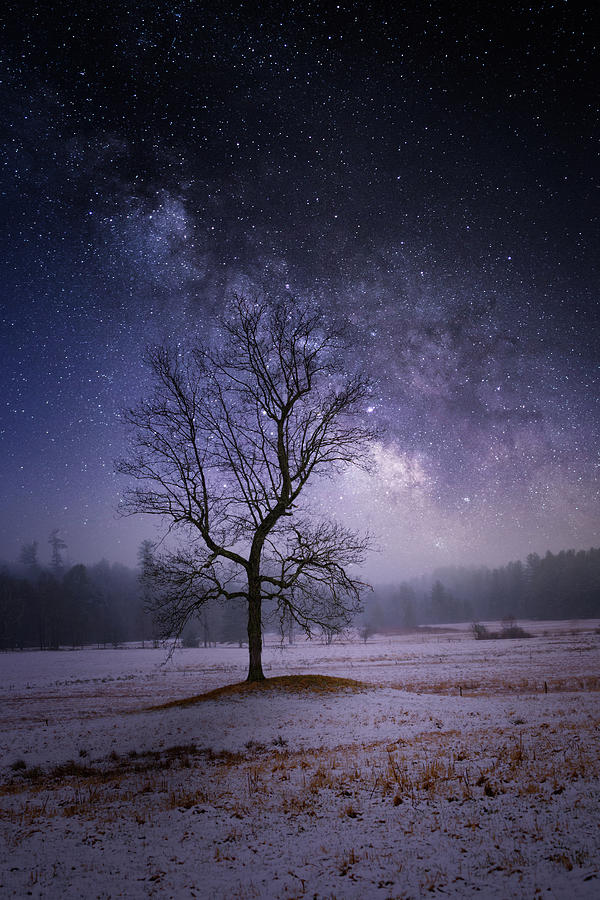Interstellar Photograph - Ethereal Night by Bill Wakeley