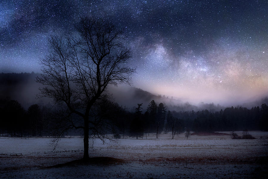 Interstellar Photograph - Ethereal Night Landscape 2 by Bill Wakeley