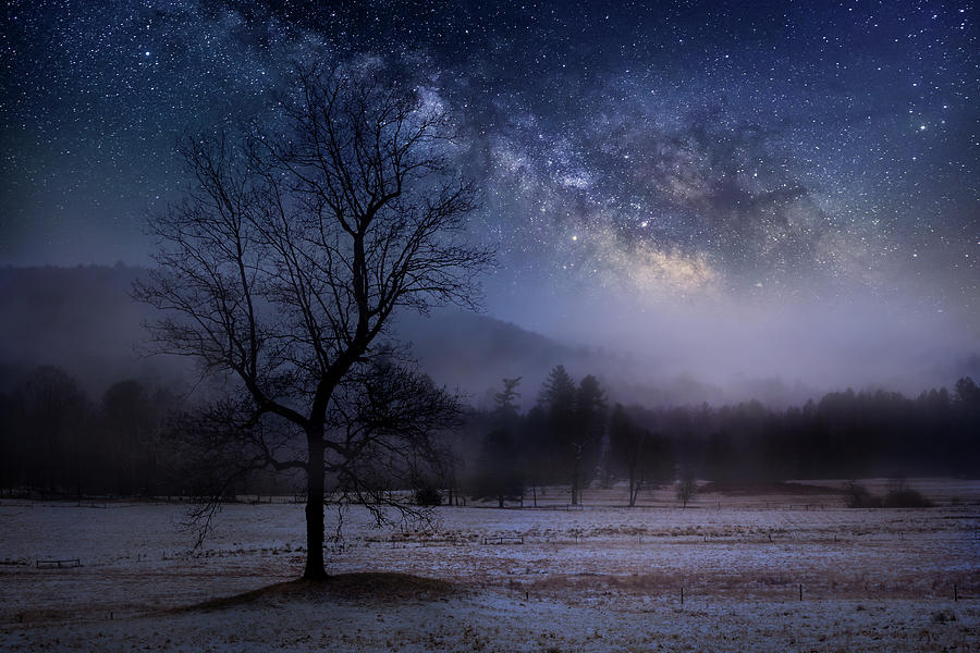 Ethereal Night Landscape Photograph by Bill Wakeley