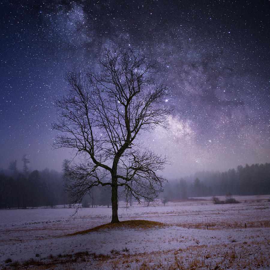 Interstellar Photograph - Ethereal Night Square by Bill Wakeley