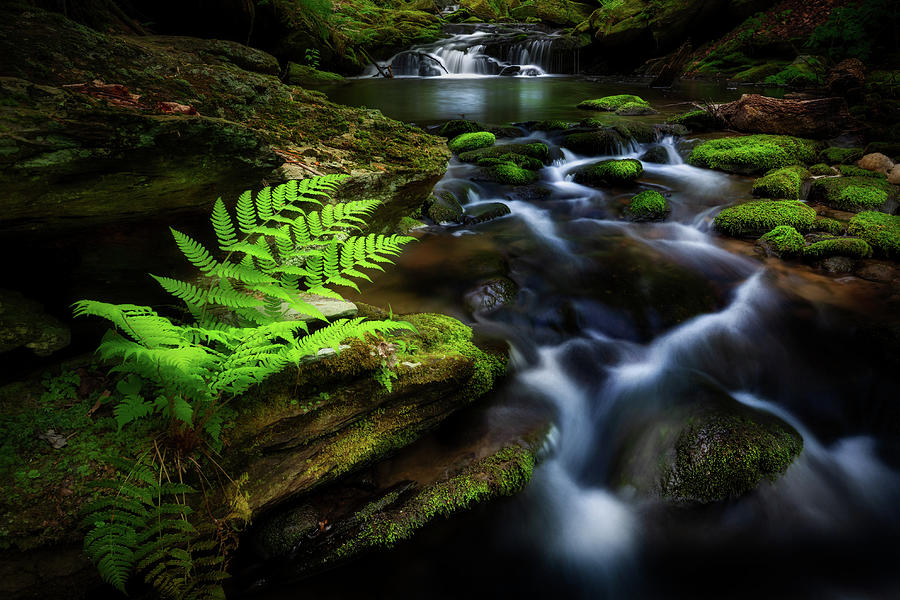 Ethereal Spring Stream Photograph by Bill Wakeley