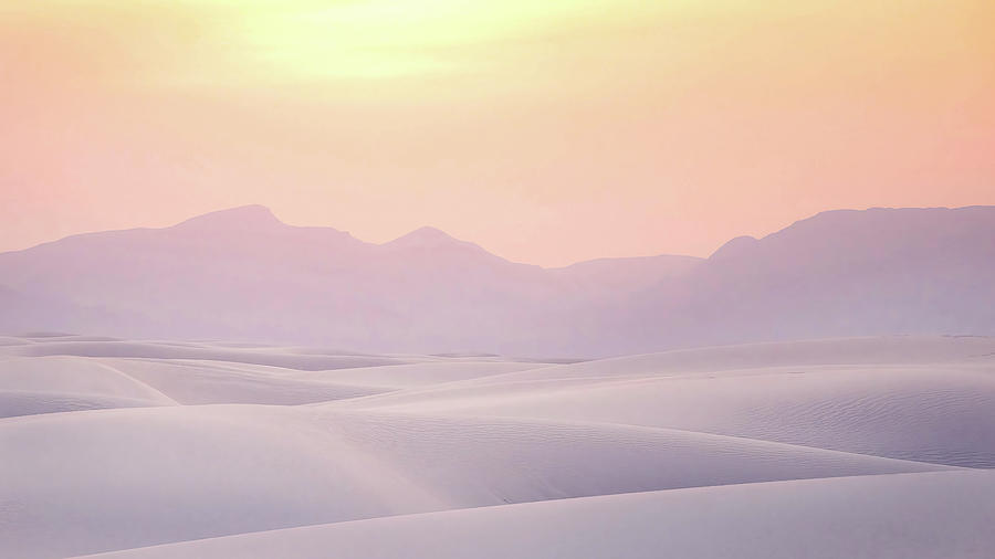 Ethereal Unexpected Beauty Photograph by Rebecca Herranen Ethereal Unexpected Beauty Photograph by Rebecca Herranen