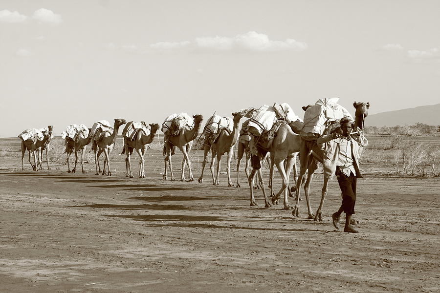 Ethiopia Photograph by Aidan Moran