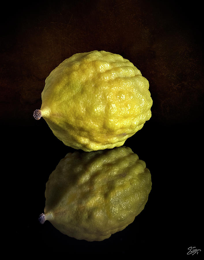 Etrog Photograph by Endre Balogh