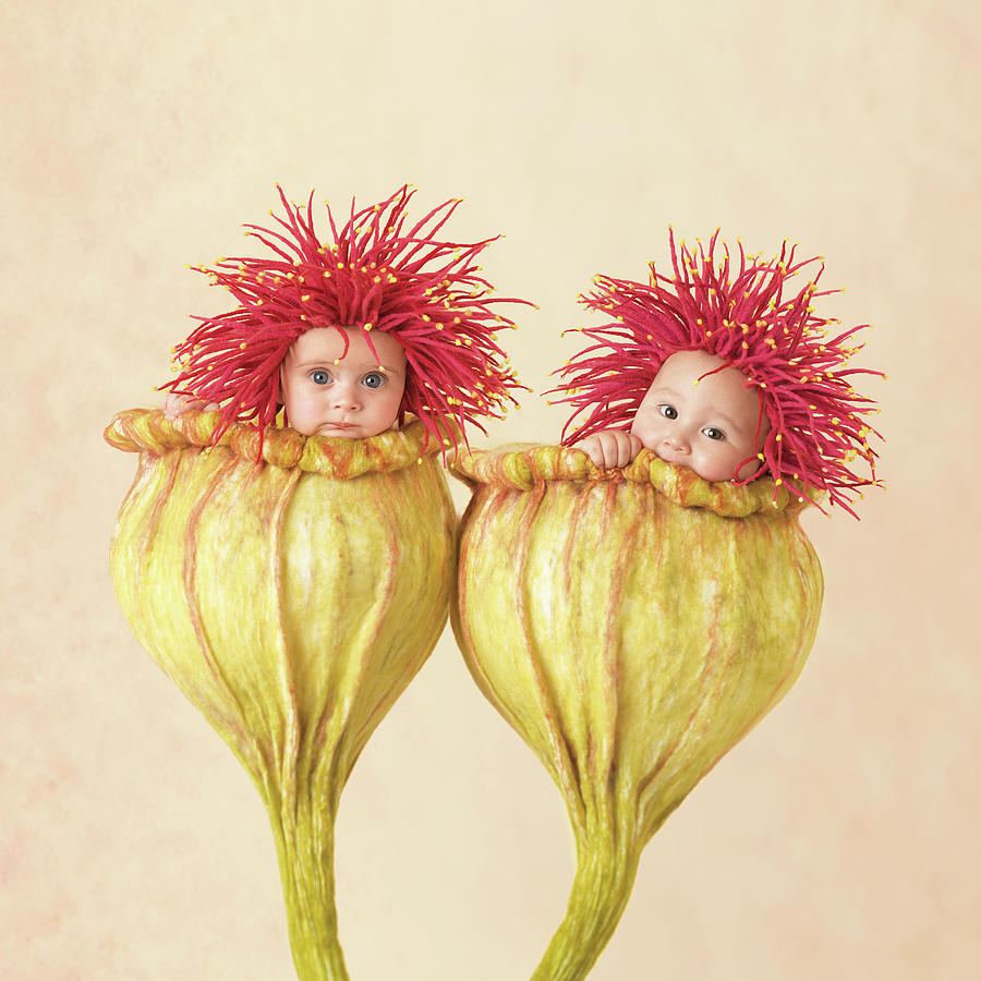 Flowers Photograph - Eucalyptus Babies by Anne Geddes
