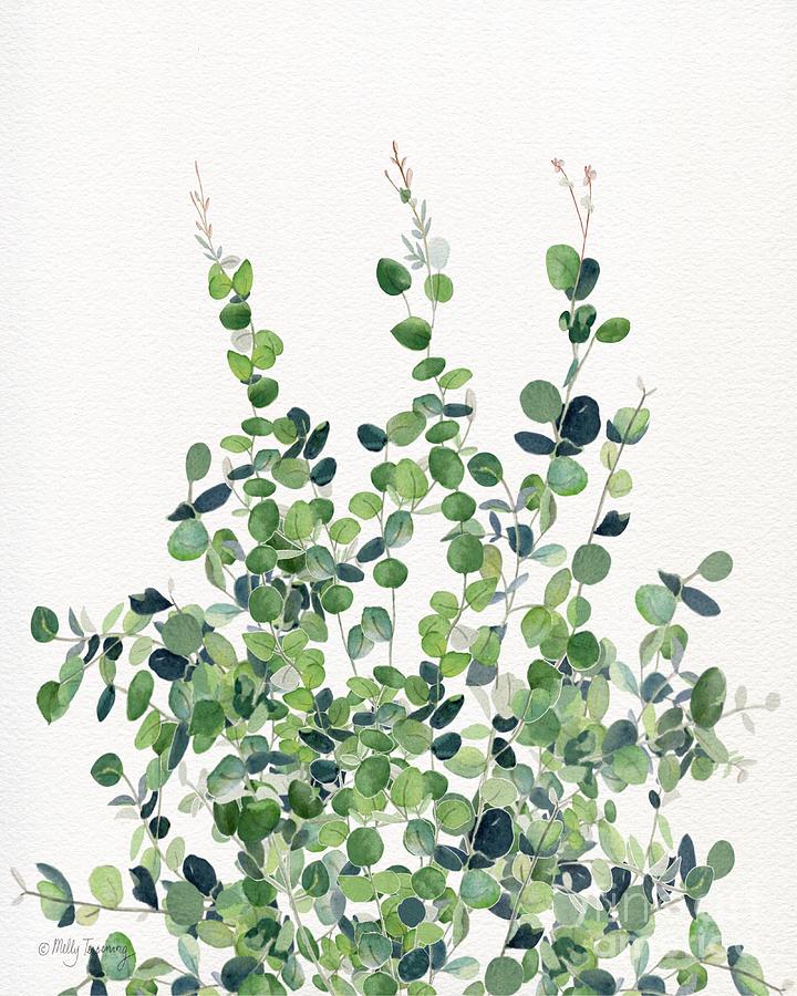 Christmas Painting - Eucalyptus  by Melly Terpening