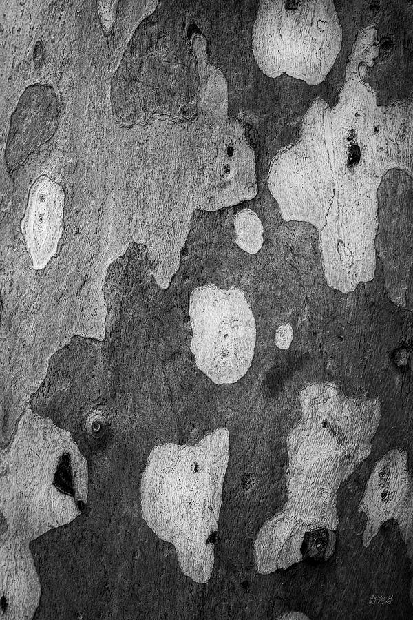 Eucalyptus Tree Bark I BW Photograph by David Gordon