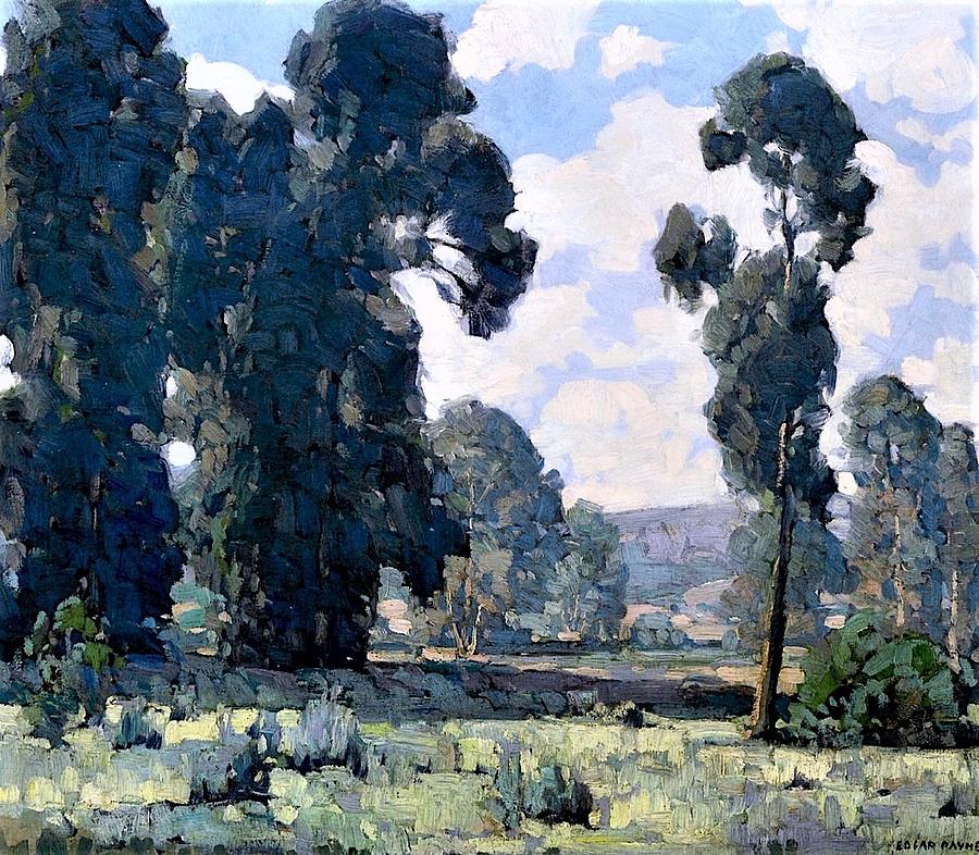 Eucalyptus Trees Painting