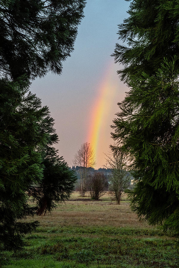 Eugene Rainbow Photograph