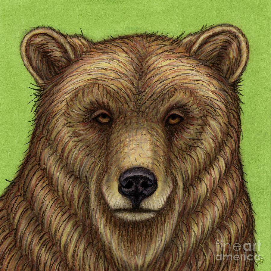 Eurasian Brown Bear  Painting by Amy E Fraser
