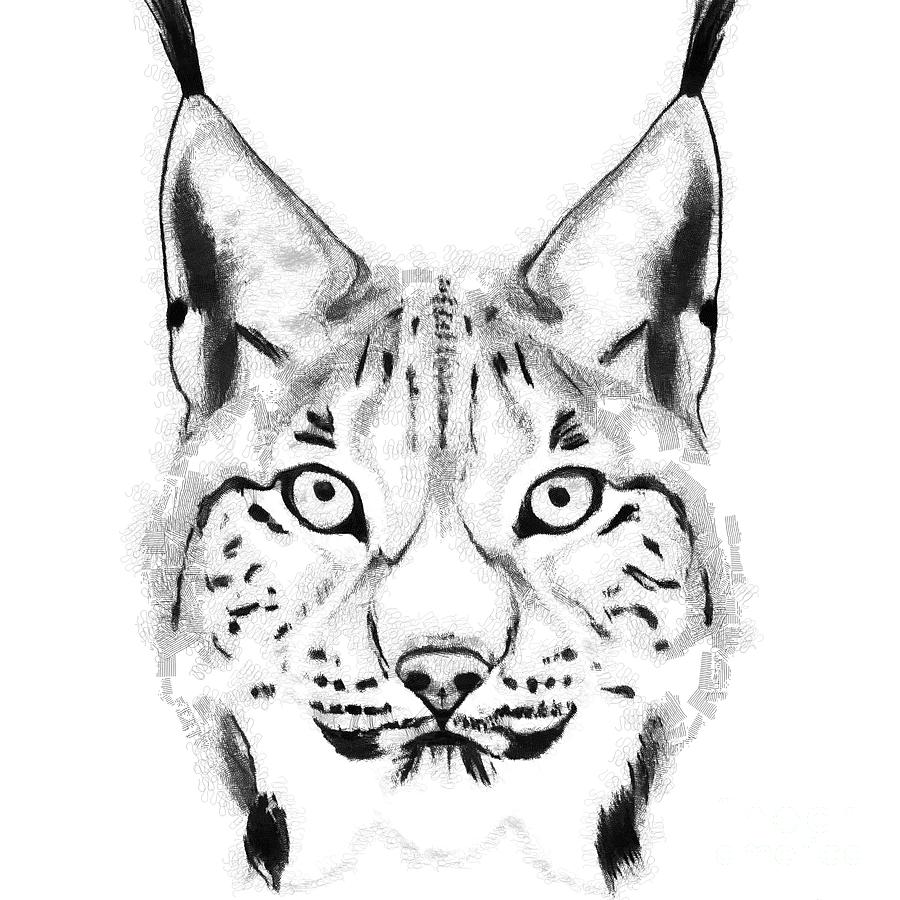 Eurasian Lynx Animal Artwork 1 Digital Art by Philip Preston