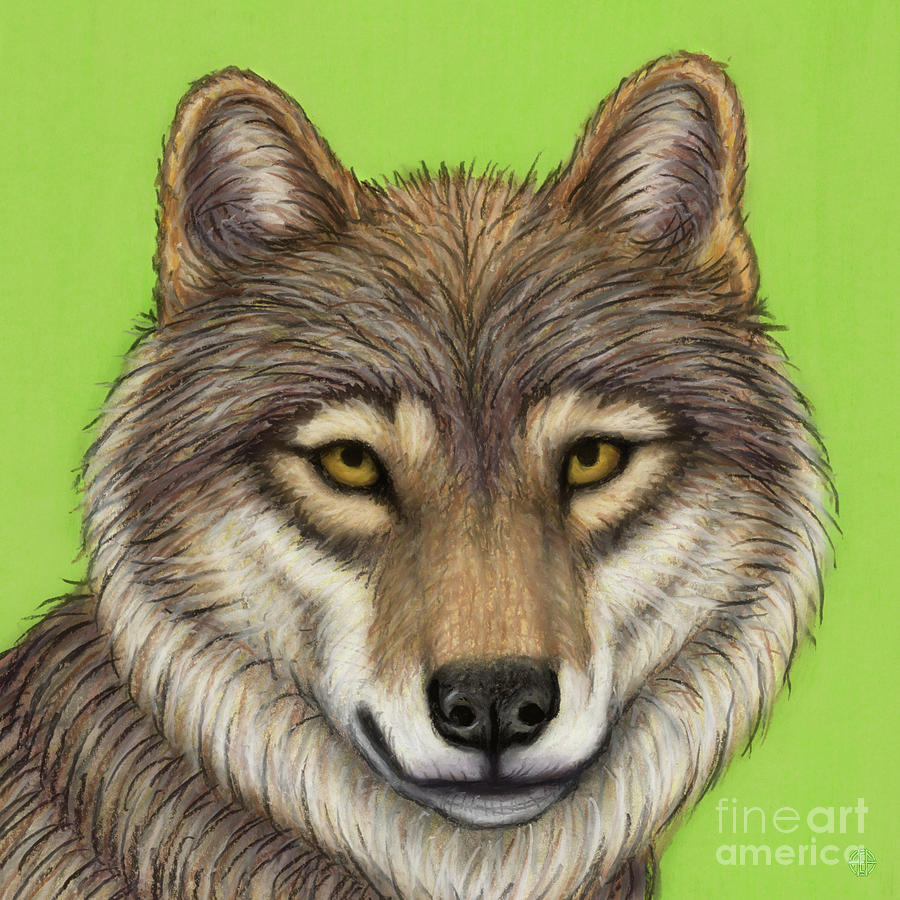 Eurasian Wolf Painting by Amy E Fraser