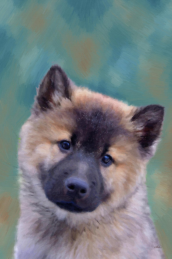 Eurasier Dog Puppy - DWP1324371 Painting by Dean Wittle