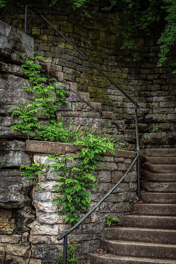Eureka Springs Stone Stairway Photograph by James Barber