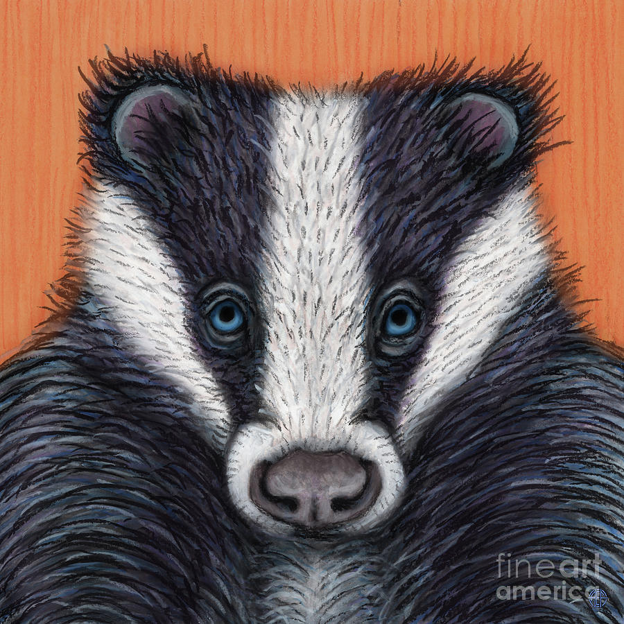 European Badger Painting by Amy E Fraser