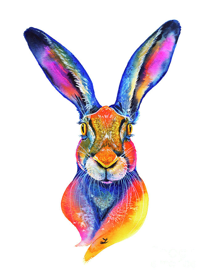 European Hare Painting