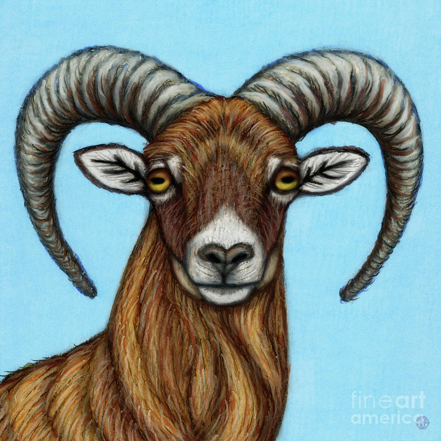 European Mouflon Ram Painting by Amy E Fraser