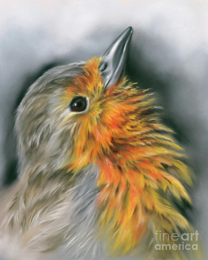 European Robin Facing Skyward Painting by MM Anderson