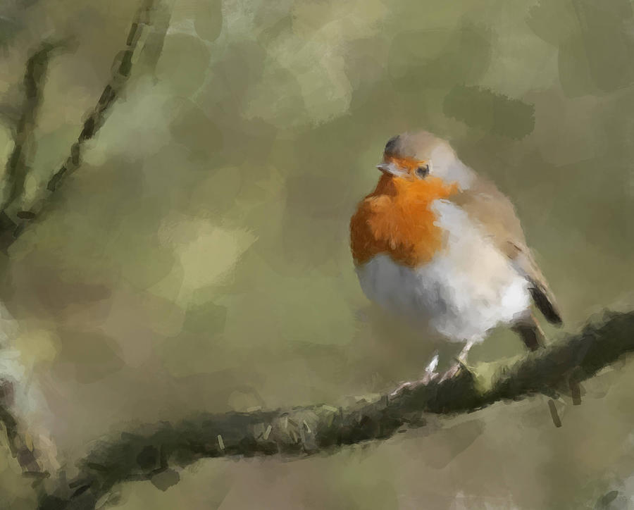 European Robin Painting by Gary Arnold