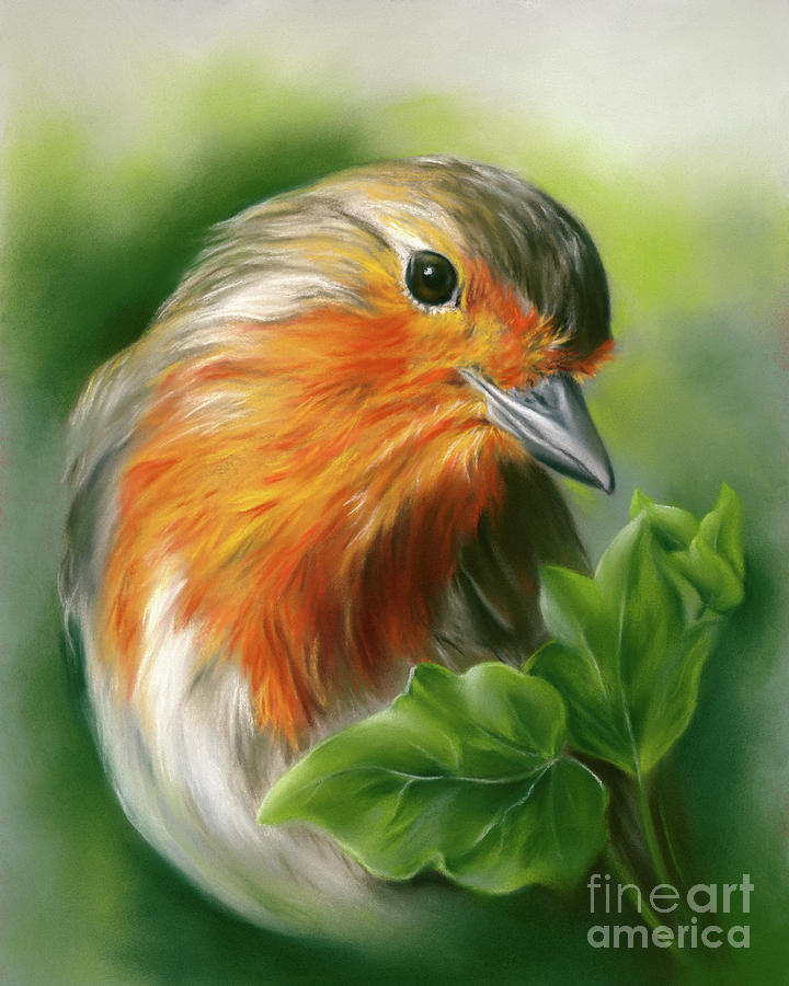 European Robin with Ivy Leaves Painting by MM Anderson