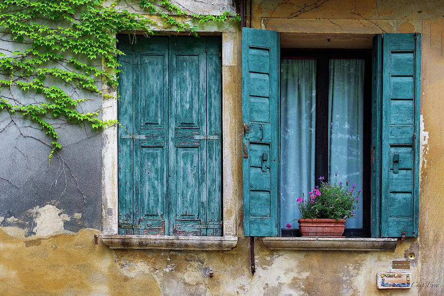 Windows of Tuscany Photograph by Chip Evra
