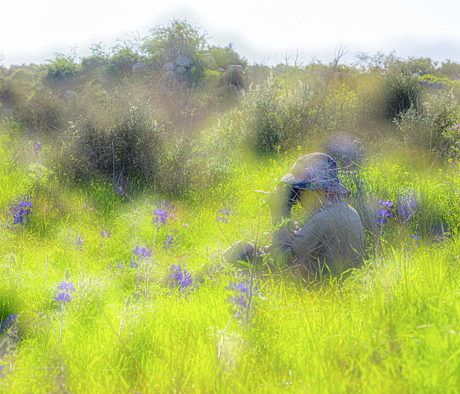 EVE in the field of Lupines Photograph by Dubi Roman
