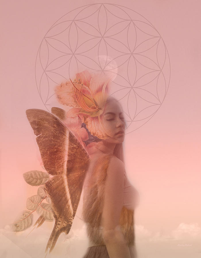 Fairy Digital Art - Eve  by Marley Art
