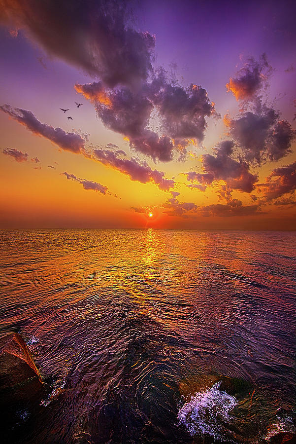 Evelyns Day Photograph by Phil Koch
