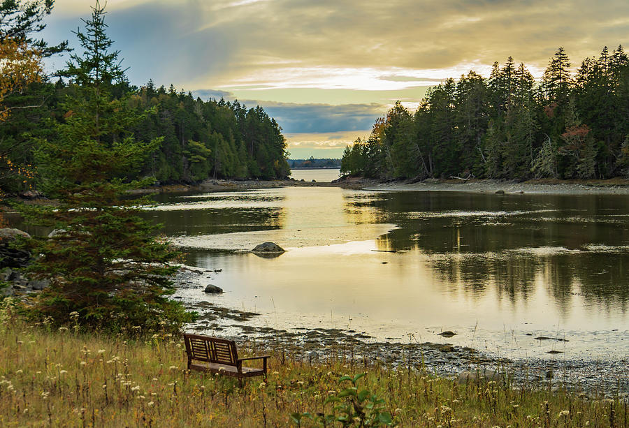 evening at Pretty Marsh on Mount Desert Island, Maine Photograph by Ann Moore