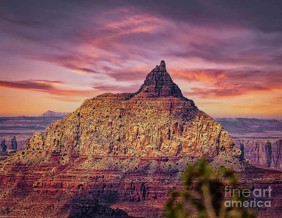 Evening at the Grand Canyon Photograph by Nick Zelinsky Jr