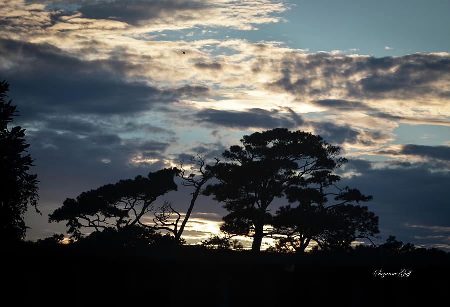 Evening Carolina Sky Photograph by Suzanne Gaff