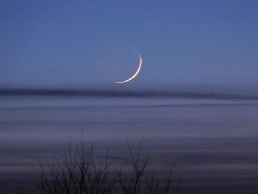 Evening Crescent Moon Photograph by Virginia White
