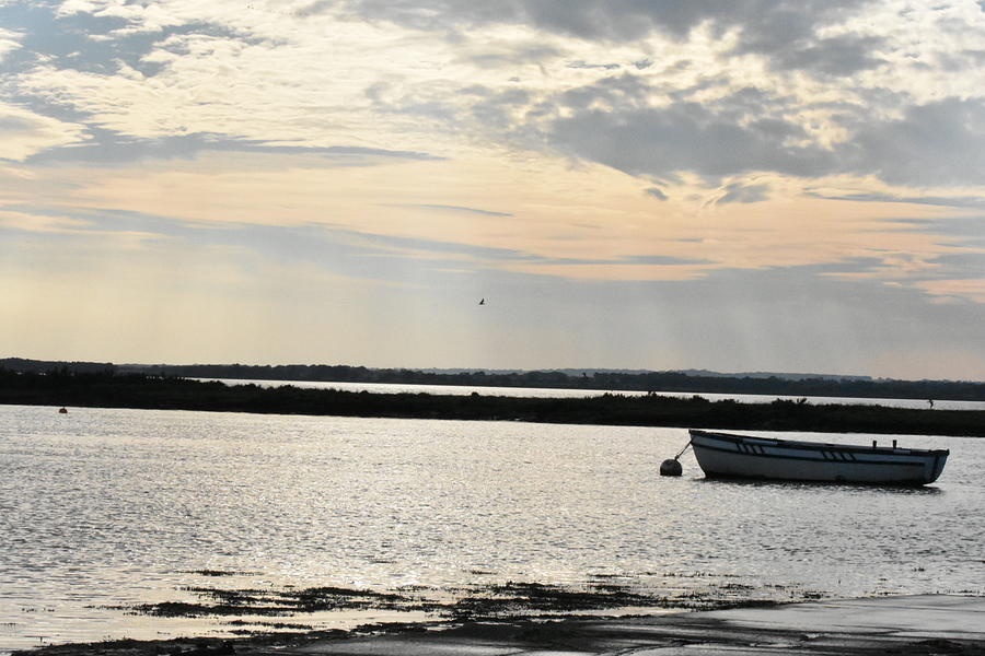 Evening Estuary Photograph by Linda Gemmill Evening Estuary Photograph by Linda Gemmill
