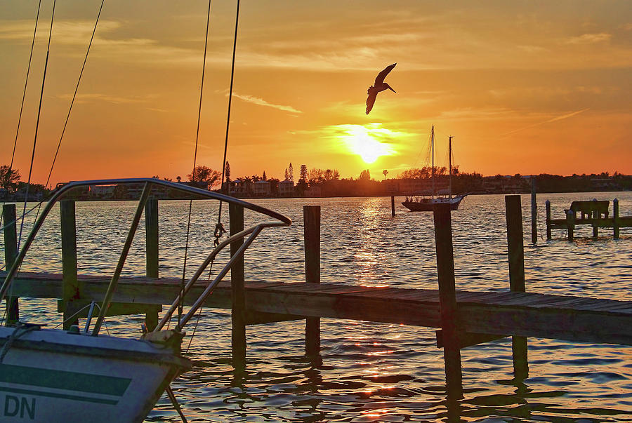 Evening Fisherman Photograph by HH Photography of Florida