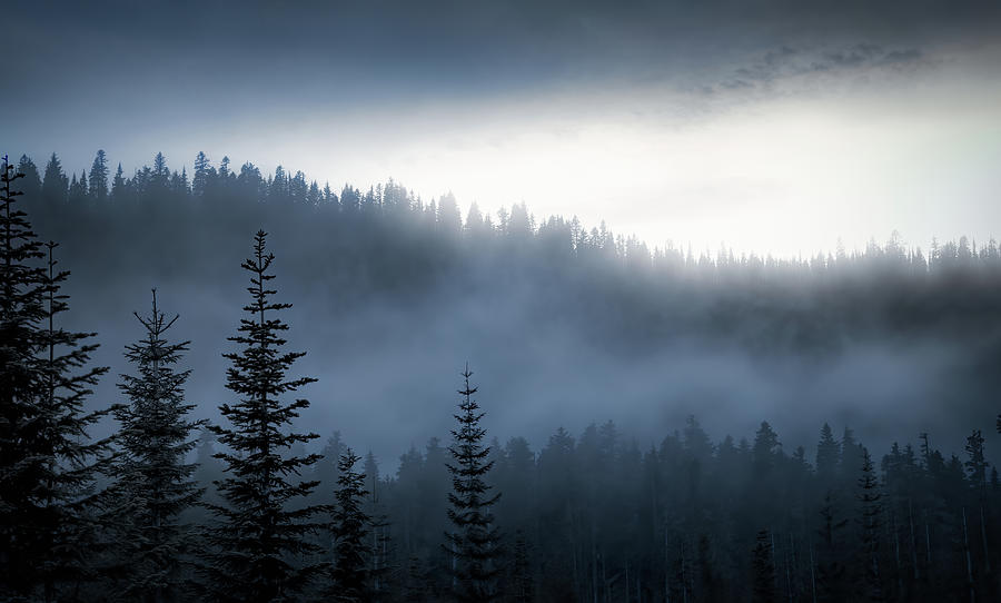 Evening Fog Drifts In Photograph by Don Schwartz
