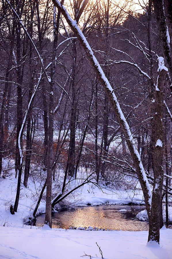 Evening Glow on the Creek Photograph by Rick Hansen