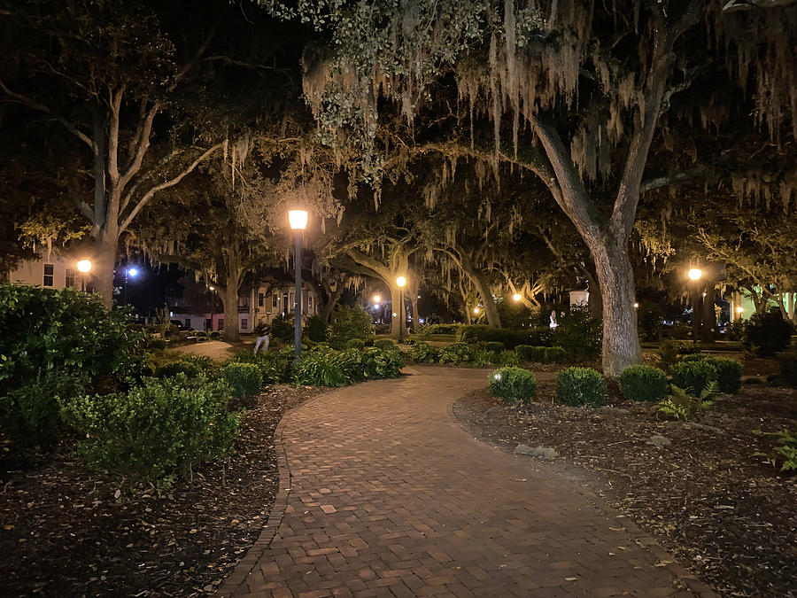 Evening in Chippewa Square, Savannah, Georgia Photograph by Dawna Moore Photography