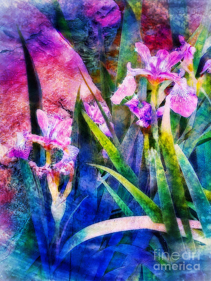 Evening Irises with Magic Rainbow Digital Art by Mindy Newman