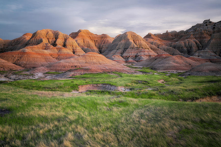 Evening light glow on the spring prairie grasses in South Dakota's ...