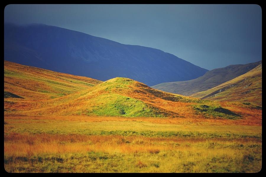 Evening Light Photograph by Mark Egerton