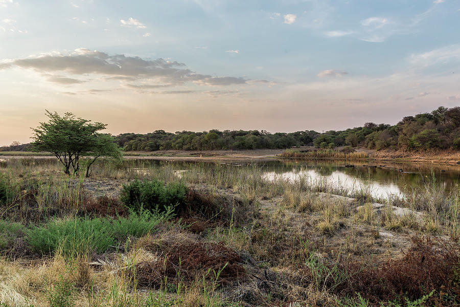 Evening Light on the Okavango River Photograph by Belinda Greb