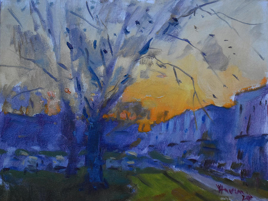 Tree Painting - Evening on my Backyard by Ylli Haruni