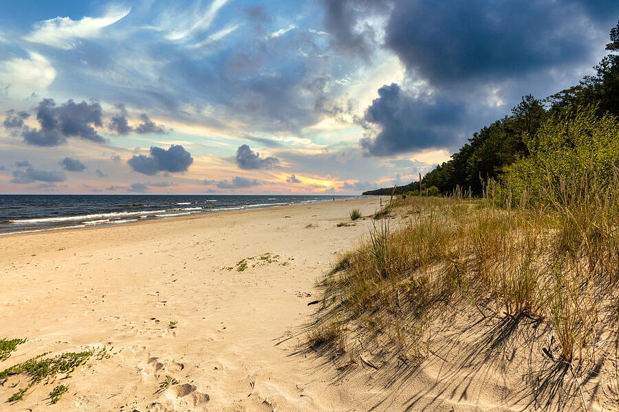 Evening on the summer beach Latvia  Photograph by Aleksandrs Drozdovs