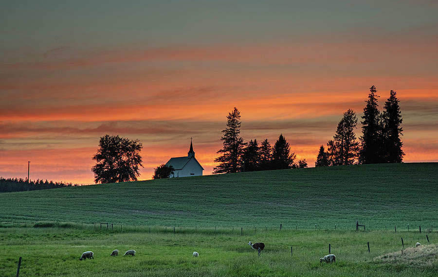 Evening On The Palouse Photograph