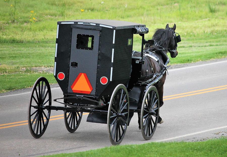 Evening Ride Photograph by Christine Ledford - Fine Art America