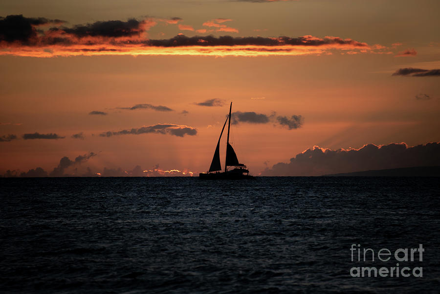 Evening Sail Photograph by Kelly Wade