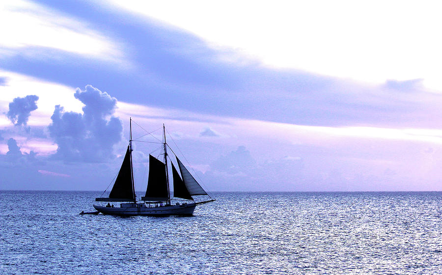 Twilight Sail - St. Maarten Photograph by Ron Berezuk