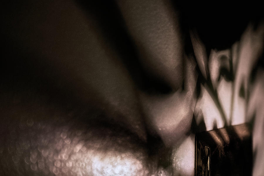 Evening Shadows Photograph by Mike Smale Evening Shadows Photograph by Mike Smale